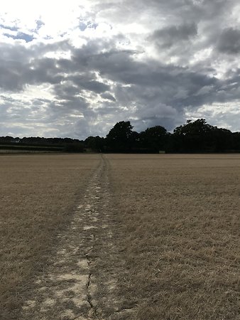 Home. Field Path